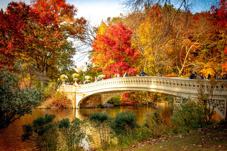 alquiler de bicicletas en central park
