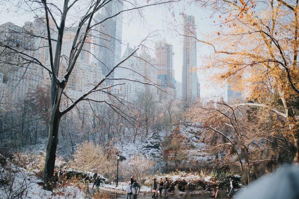 que hacer en Central Park en invierno