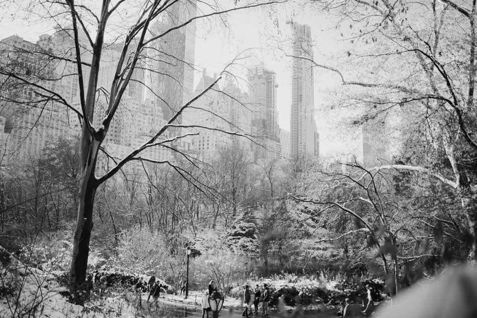 que hacer en central park en invierno