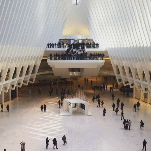 the oculus the oculus