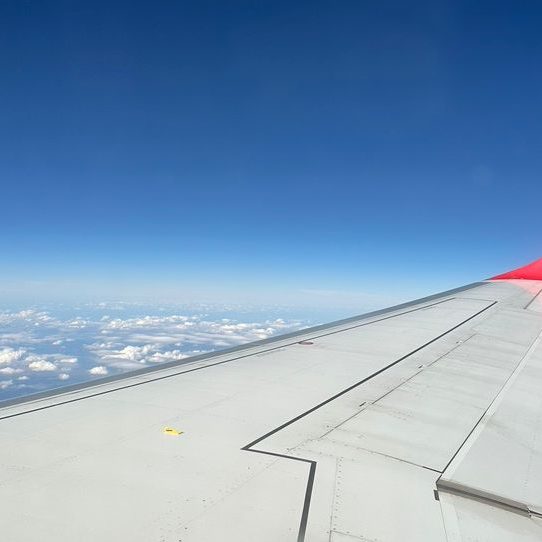 Volar a Nueva York con TAP Air Portugal opiniones