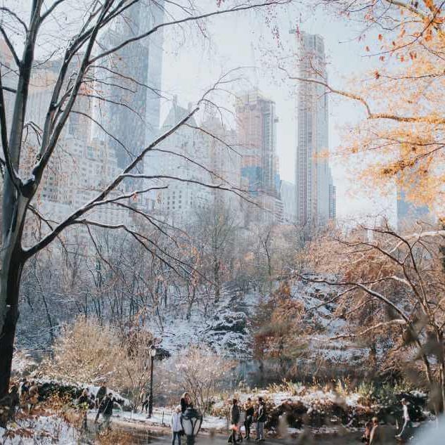 que hacer en Central Park en invierno