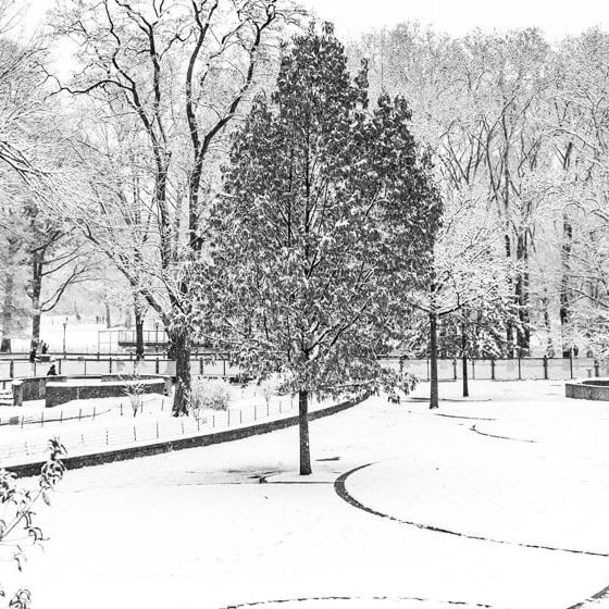 invierno en Nueva York