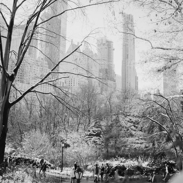 que hacer en central park en invierno